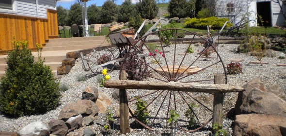 Coyote Mule Ranch