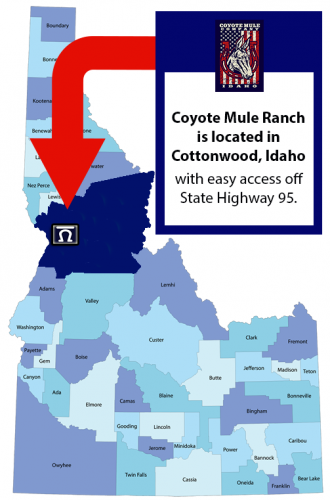 Coyote Mule Ranch