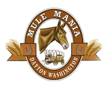 Mule Mania Dayton - A Fun Family Event