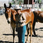 Older brother, halter champion